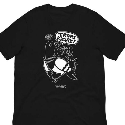 Trans rights t-shirt