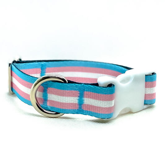 Transgender dog collar