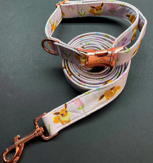 Eevee collar and leash